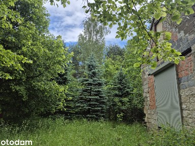 Dom z piękną działką na obrzeżach Żarek - Jura