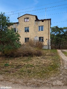 Własny las | 1869 m² zieleni | Międzyborów