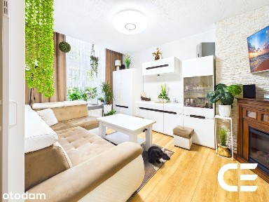 Mieszkanie w centrum | 41 m²-51 m²| Wysoki parter