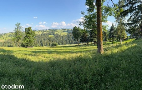 Klimatyczny dom w bustryku