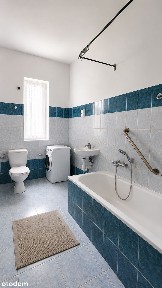 Dom Trzebórz gm. Kozielice/ działka 4300m2
