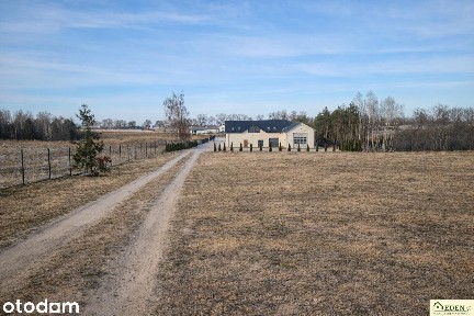 Ryki, rycki, lubelskie