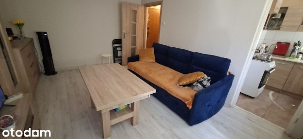 Wynajmę kawalerkę 27 m² - Łódź Dąbrowa, ul. Felińskiego 5A - od 1.09