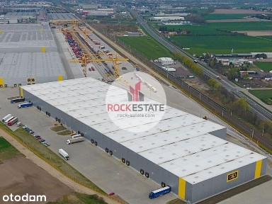Magazyn 28 tyś. m2 Jasin - od zaraz - 0% prowizji