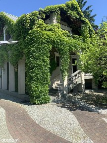 Złotniki, Suchy Las, poznański, wielkopolskie