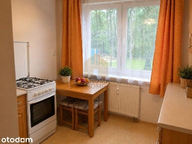 Mieszkanie/Kawalerka/Wysoki parter/