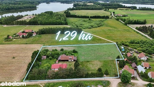 Gospodarstwo z dostępem do jeziora | Borki | 1,3933 ha gruntu