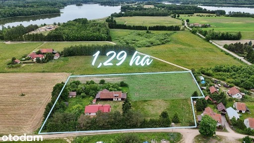Gospodarstwo z dostępem do jeziora | Borki | 1,3933 ha gruntu