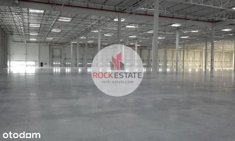Magazyn w Toruniu 3,9 tyś m2 wynajem - 0% prowizji