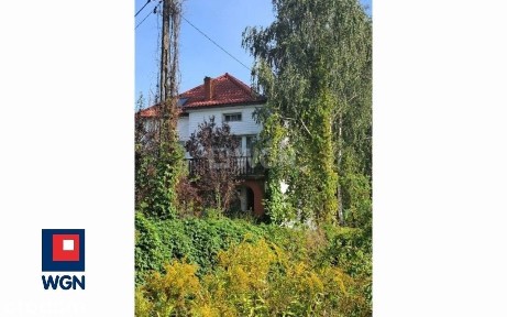Spokojna, Rypin, rypiński, kujawsko-pomorskie