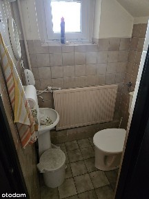 Hala Warsztat Magazyn Usługi 225m2 4400zł Poznań Przeźmierowo Różne M2