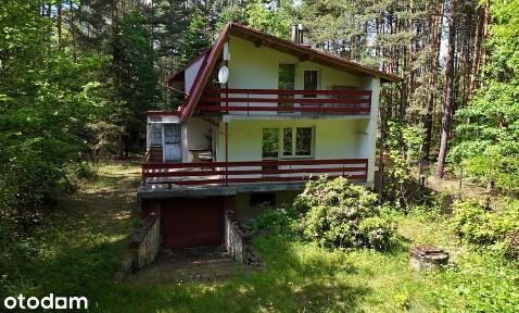 Przybynów, Żarki, myszkowski, śląskie