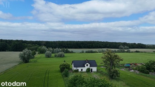 Dom na sprzedaż pod Koninem | 170 m² | Duża działka 1545 m²