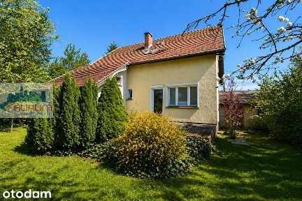 Żary, żarski, lubuskie