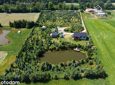 Kaszuby | Dom 2019 | 1,53 ha | Staw | Choinki