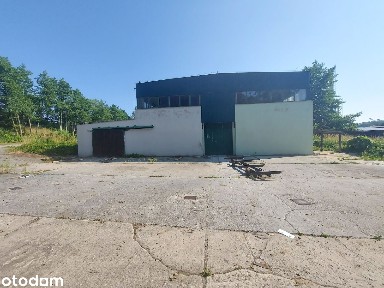 Krosno Odrzańskie, krośnieński, lubuskie