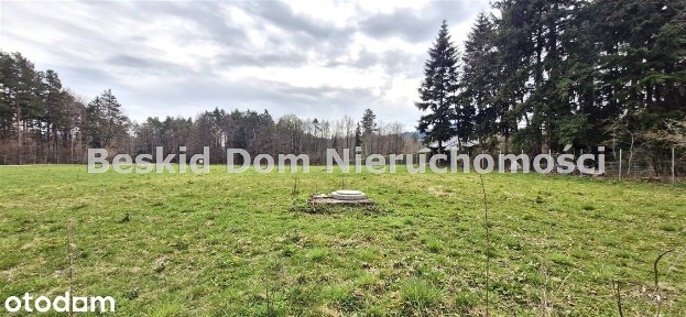 Dom na sprzedaż, Lipowa, 3 pokoje