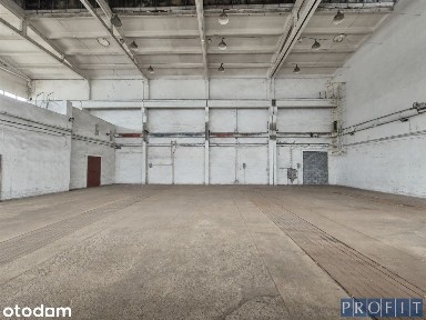 Magazyn 350m2 | Poziom 0 | 3 Bramy
