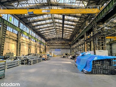 suwnica 5T,mag. prod. pow. do 700m2