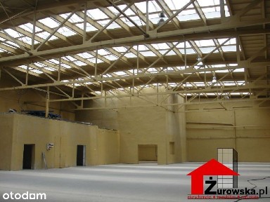 Lokal użytkowy, 1 000 m², Myszków