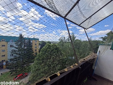 2 niezależne pokoje | balkon | Bańgów
