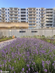 3-pokojowe mieszkanie z balkonem w budynku K2 | 56 m2 | *BEZPOŚREDNIA*