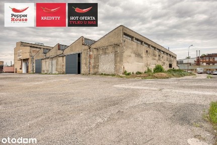 Hala 1800 m2 w Pakości - Produkcja Magazyn Biura