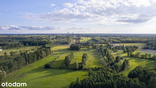 Stare 6,5h siedlisko 5km od Żyrardowa