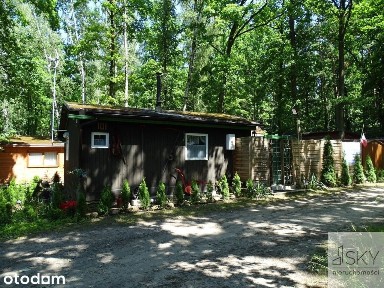 Całoroczny domek nad stawami | Wilczyn Leśny
