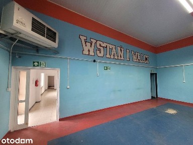 Na wynajem magazyn 253 m²