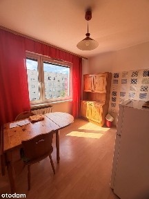 Ziemowita, Olechów, Widzew, Łódź, łódzkie