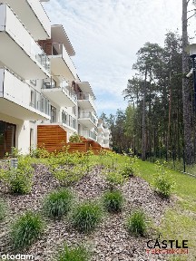 ul. Lipowa, Stegna, nowodworski, pomorskie