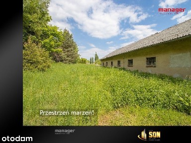 Brzeźnica, Rudnik, raciborski, śląskie