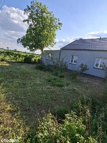 Kraszyce, Kruszwica, inowrocławski, kujawsko-pomorskie