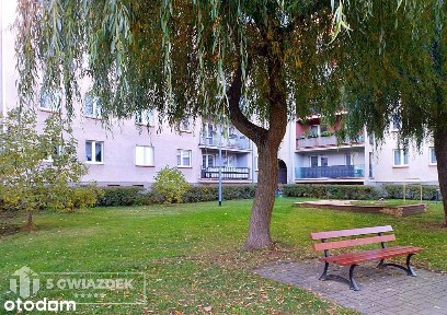 ul. Marszałka Józefa Piłsudskiego, Szczecinek, szczecinecki, zachodniopomorskie