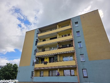 Duże mieszkanie z balkonem - Ornontowice ul. Akacjowa