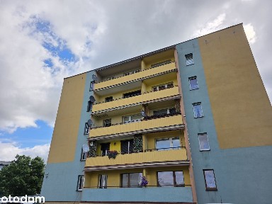 Duże mieszkanie z balkonem - Ornontowice ul. Akacjowa