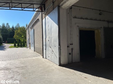 Hala Magazyn 300 m2, Alarm, Rampa, Mroków