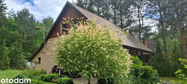 Dom drewniany, całoroczny nad Jeziorem Zdworskim | 80 m² | Matyldów