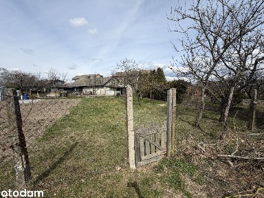 Bartki, Kozłowo, nidzicki, warmińsko-mazurskie