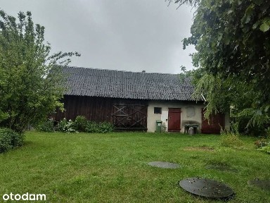 ul. Kościuszki, Borzykowa, Żytno, radomszczański, łódzkie