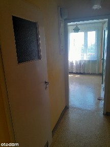 Olimpijska 35