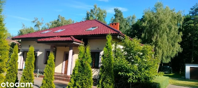 Dom z prywatnym lasem w świetnej lokalizacji