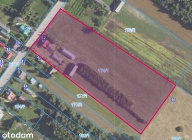 Żerczyce, Nurzec-Stacja, siemiatycki, podlaskie