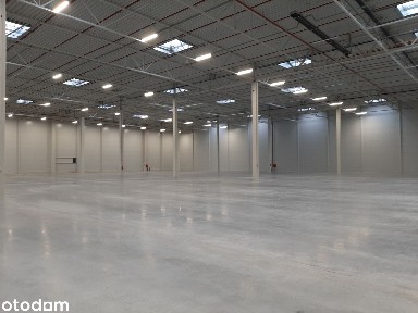 Magazyn klasy A | 10000 m² | świetna cena | 0% prowizji