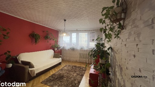 3 pokoje 51m2 Staszów Wschodnia jasne mieszkanie