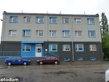 Ptasia, Pogoń, Sosnowiec, śląskie