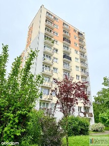 Turkusowa, Winiary, Jeżyce, Poznań, wielkopolskie