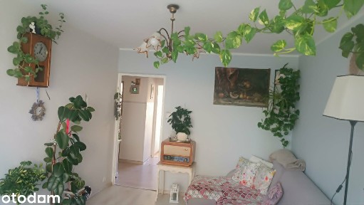 Przestronne mieszkanie z balkonem na parterze
