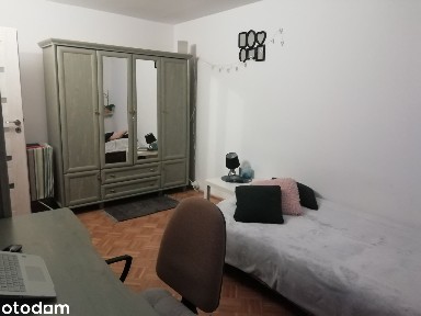 3-pokojowe Czechów, Koncertowa